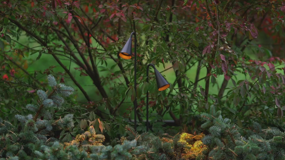 éclairage jardin