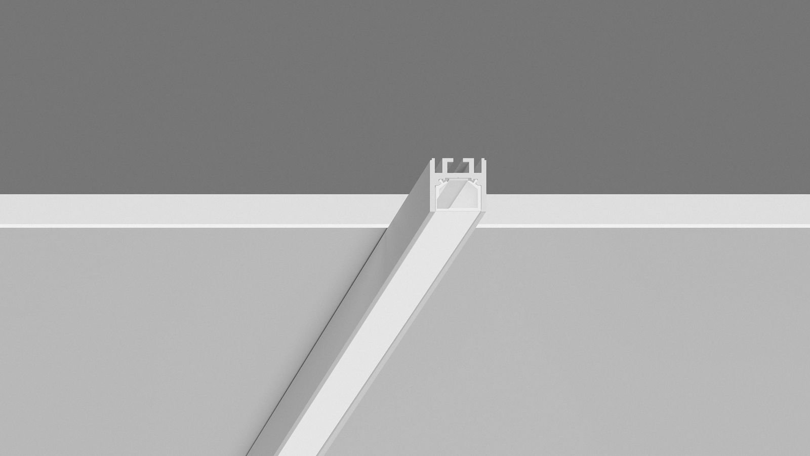 prof2023_on_20_banner_gal1